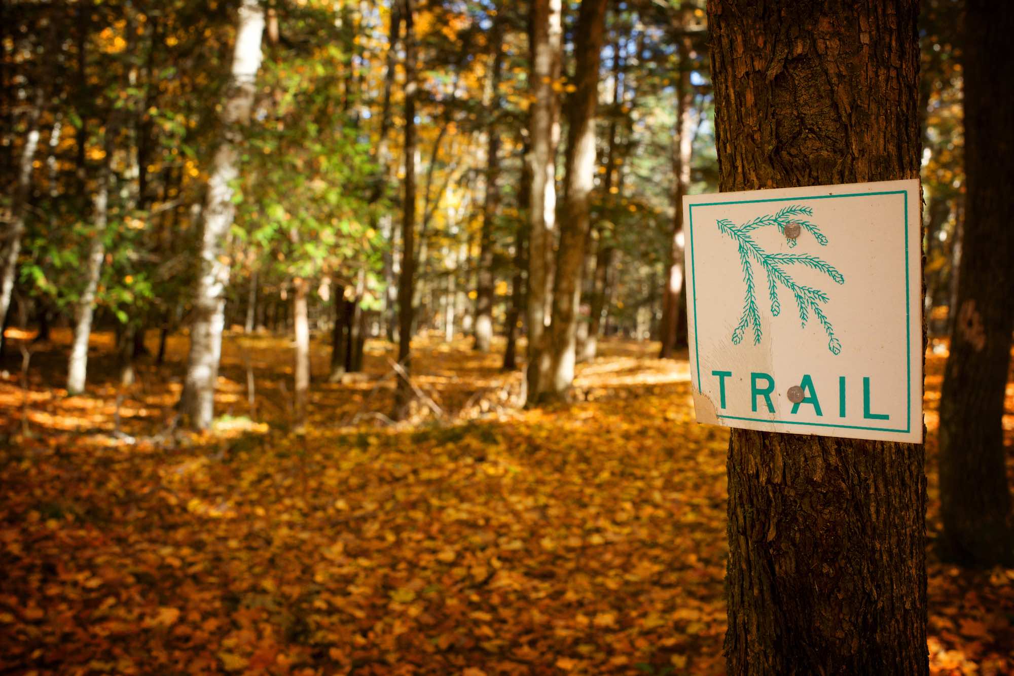 Woodsy Trail sign