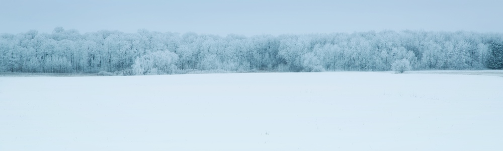 Wisconsin's Frosted Landscape